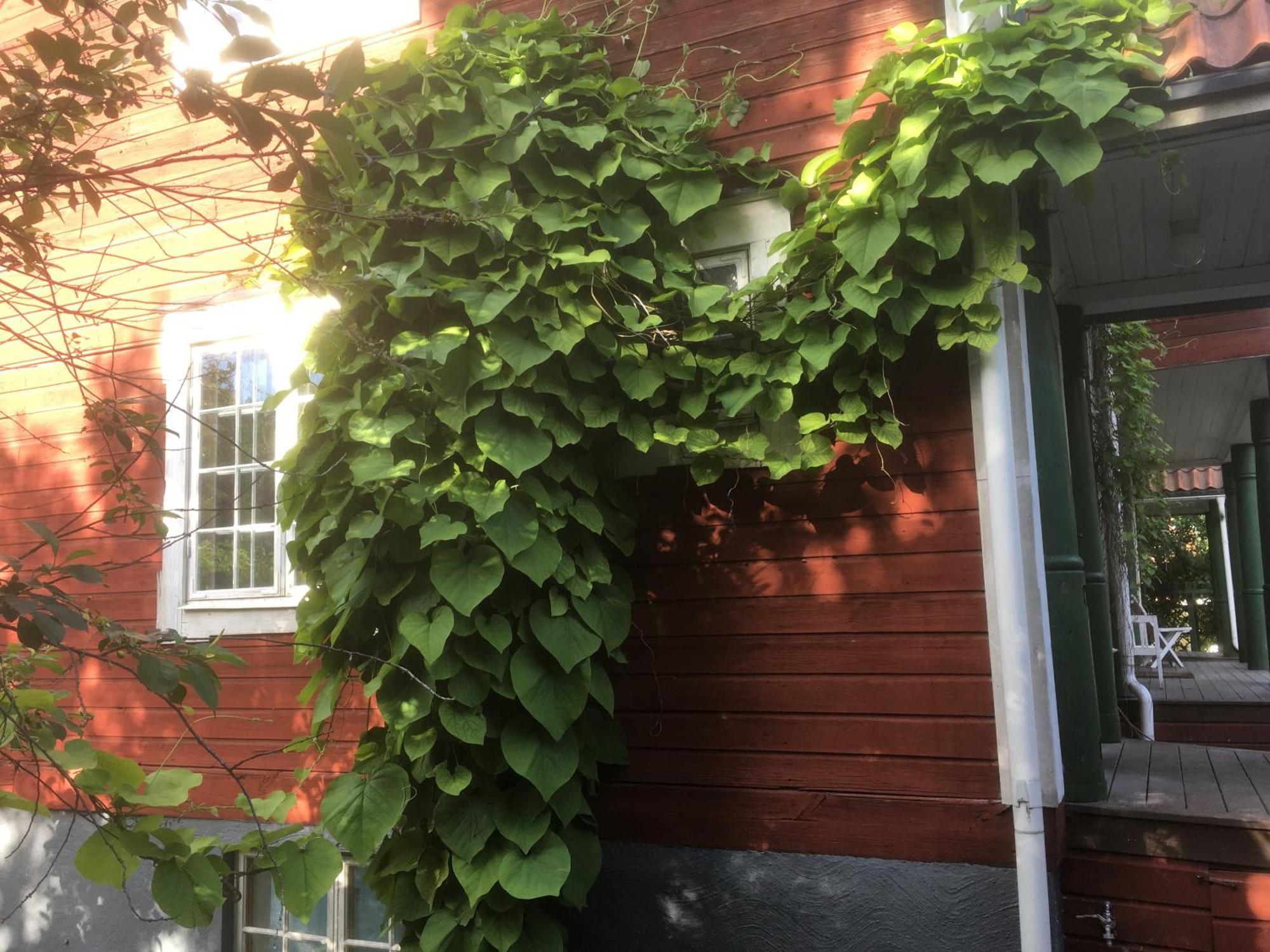 Stockholm B&B Cottage Nacka Kamer foto
