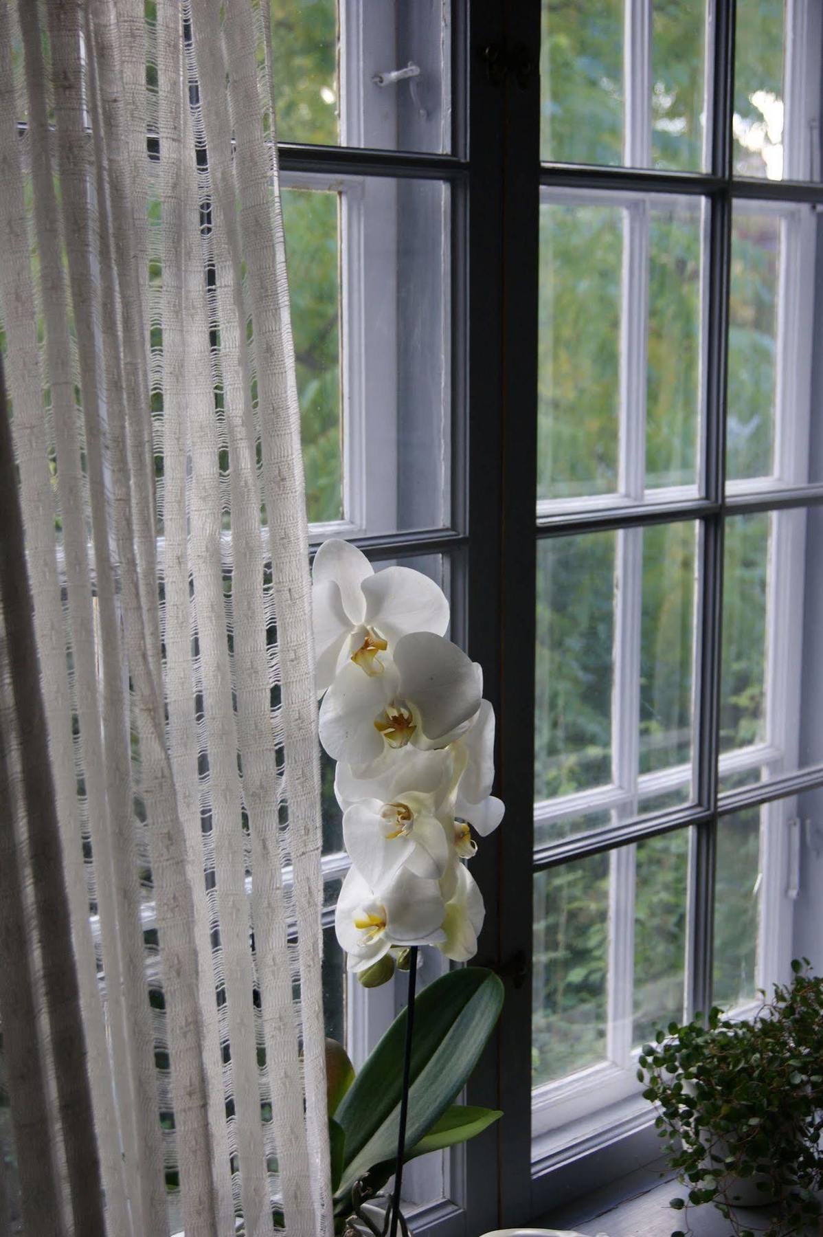 Stockholm B&B Cottage Nacka Buitenkant foto