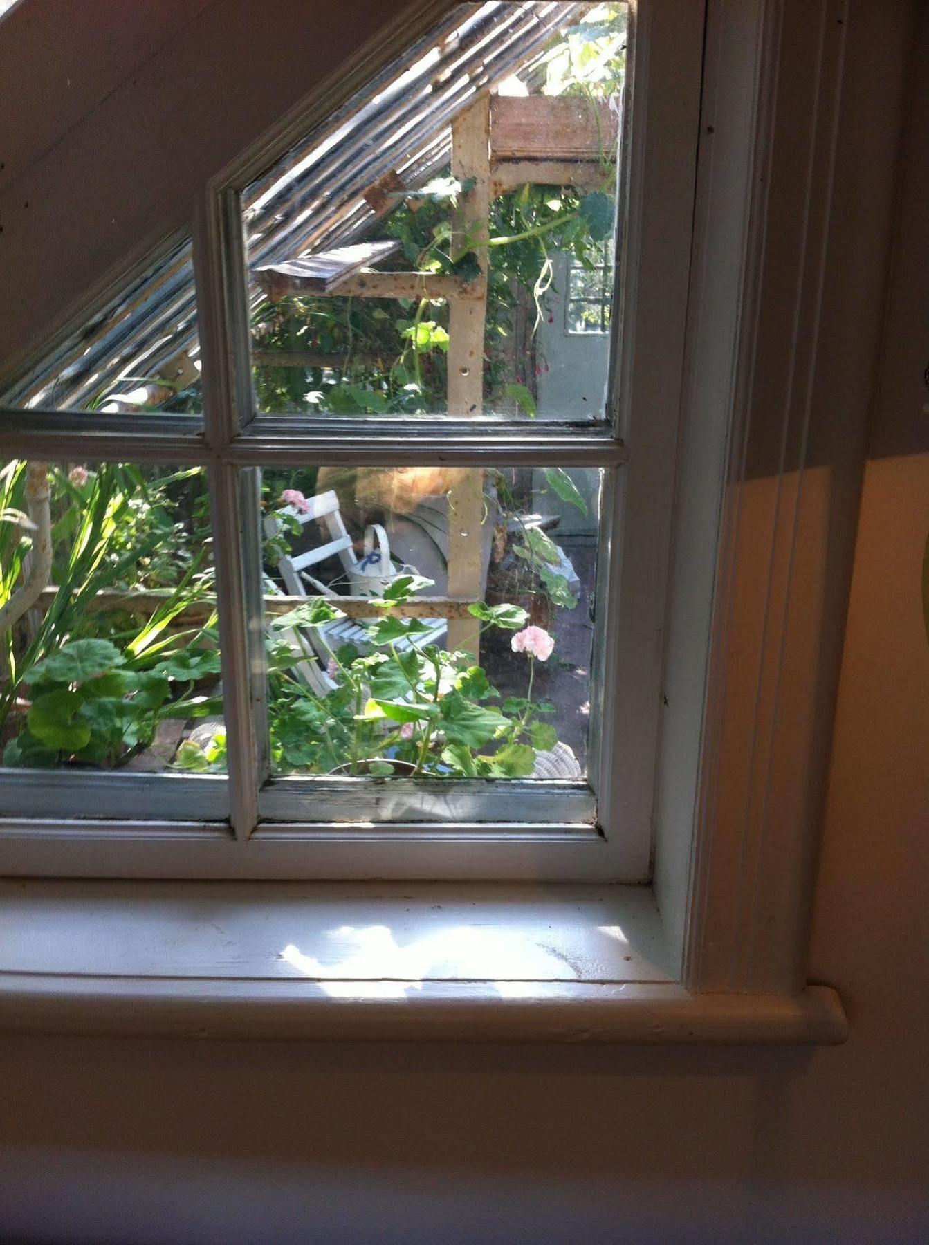 Stockholm B&B Cottage Nacka Buitenkant foto