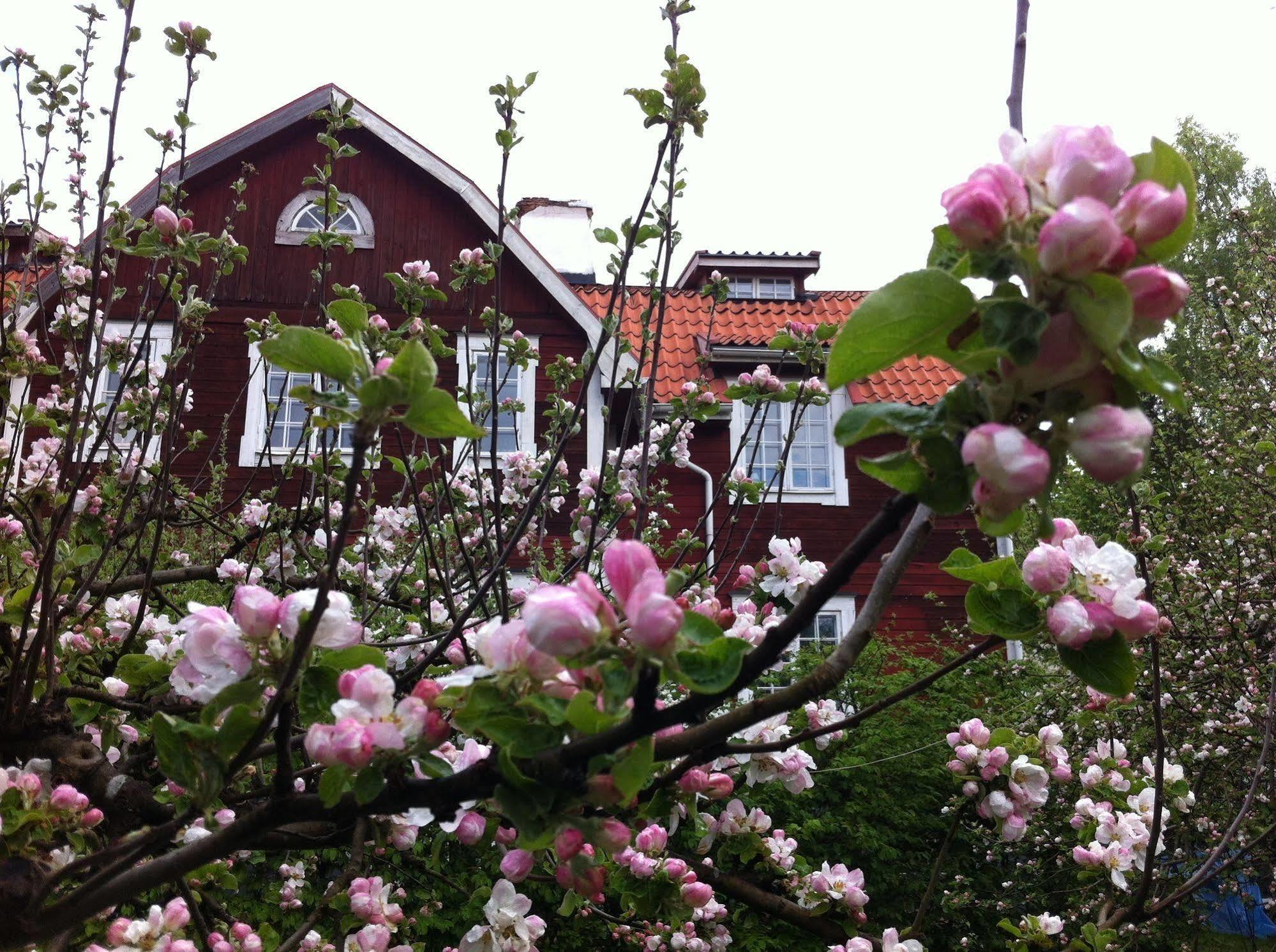 Stockholm B&B Cottage Nacka Buitenkant foto